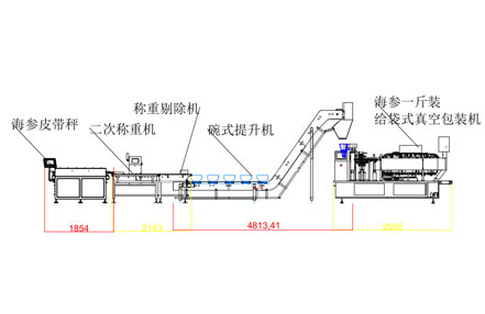 海参大包装称重包装生产线CAD平面图